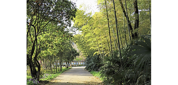 南京財經(jīng)大學紅山學院 - 最美大學
