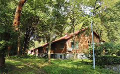 南京財經(jīng)大學紅山學院 - 我的大學