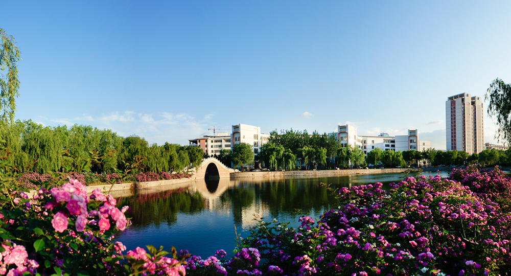 青島農(nóng)業(yè)大學(xué)：校名題寫 / 校徽設(shè)計(jì)