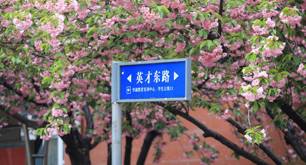 我的大學(xué) - 中國(guó)最美大學(xué)