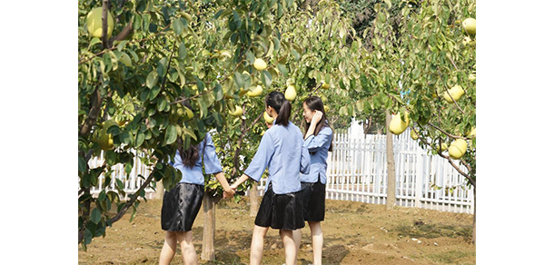 菏澤醫(yī)學(xué)?？茖W(xué)校 - 最美大學(xué)