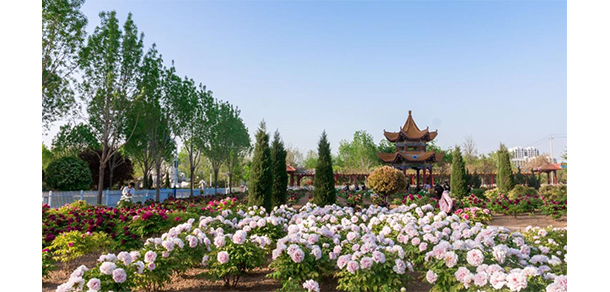 菏澤醫(yī)學(xué)?？茖W(xué)校 - 最美大學(xué)