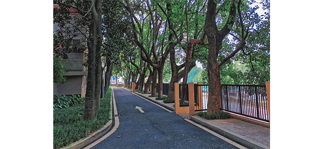湖南師范大學(xué)樹達(dá)學(xué)院
