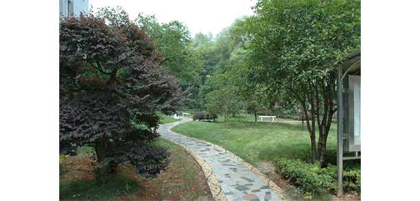 湖南師范大學(xué)樹達(dá)學(xué)院