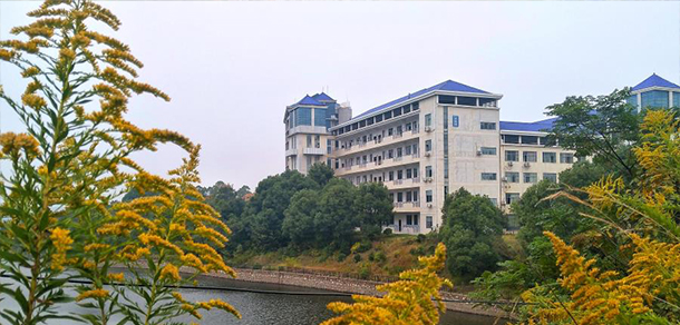 岳陽職業(yè)技術(shù)學院