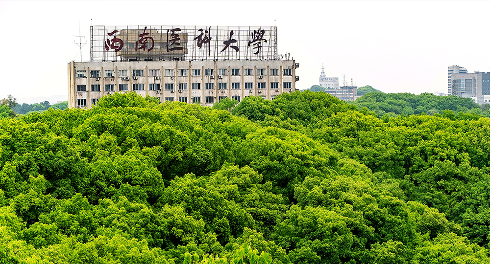 西南醫(yī)科大學(xué)：校名題寫(xiě) / 校徽設(shè)計(jì)