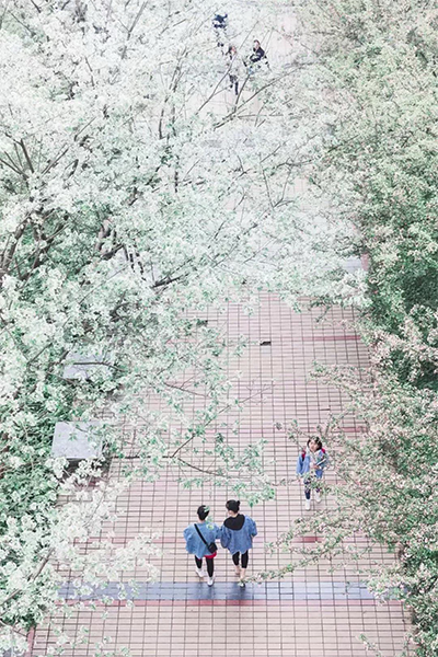 歲月流金 · 青春不散場
