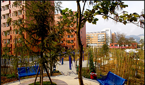 「 大學(xué)志 · 志中國(guó) 」