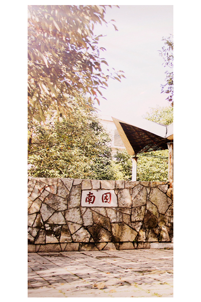 歲月流金 · 青春不散場