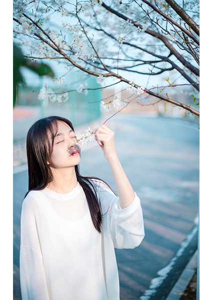 歲月流金 · 青春不散場(chǎng)