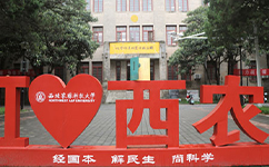 2025年強(qiáng)基計劃招生簡章