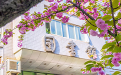 2025年強(qiáng)基計劃招生簡章