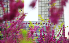 上海財經大學 - 我的大學