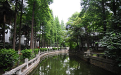 上海科學技術職業(yè)學院 - 我的大學